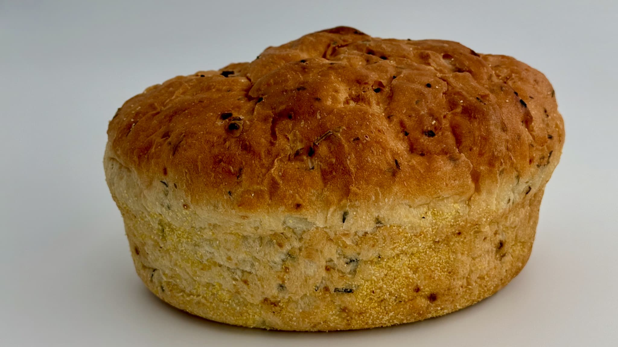Fresh baked bread from Chehalis River Farm