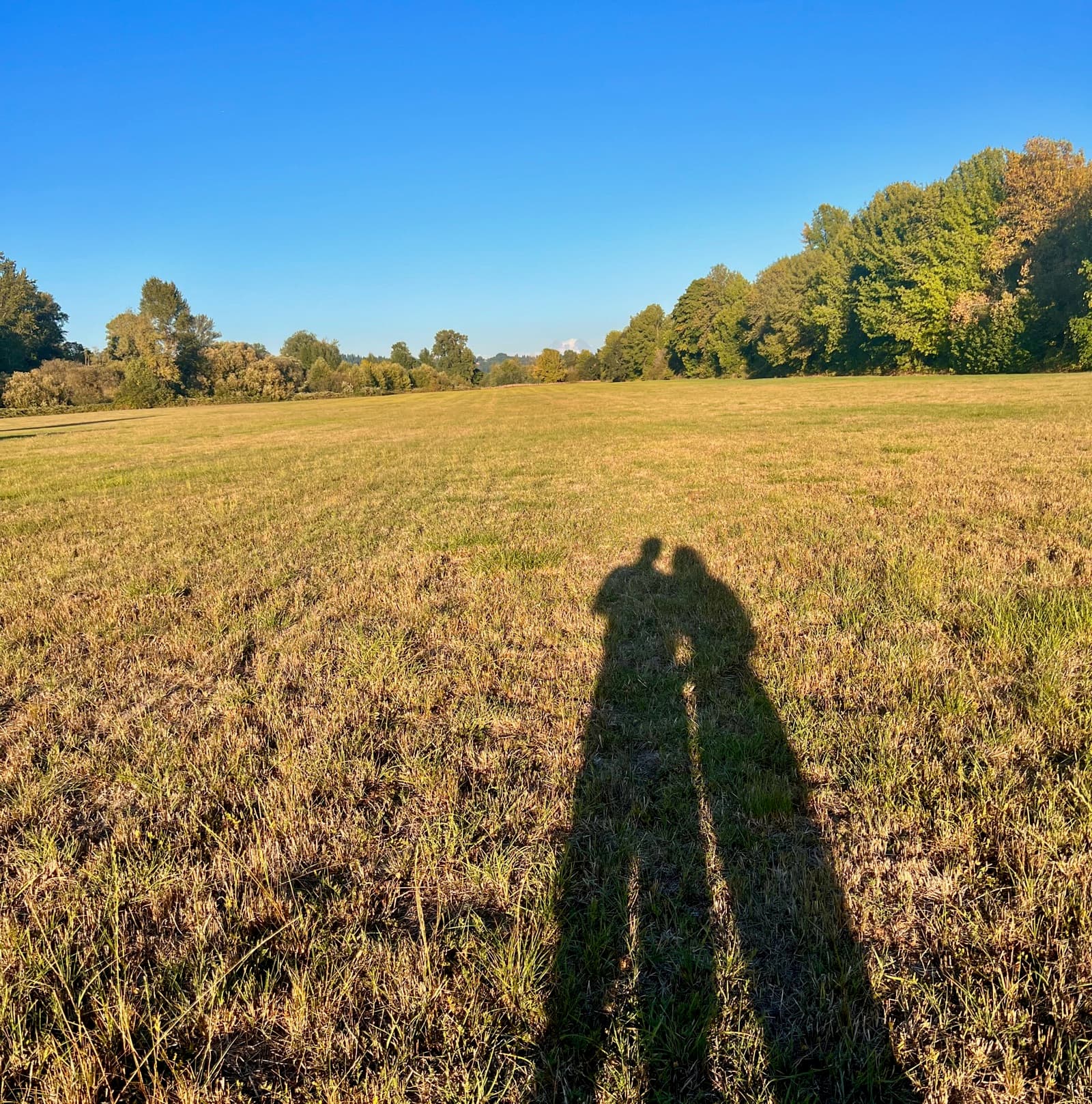 Where we started — our two shadows on the empty field that became Chehalis River Farm