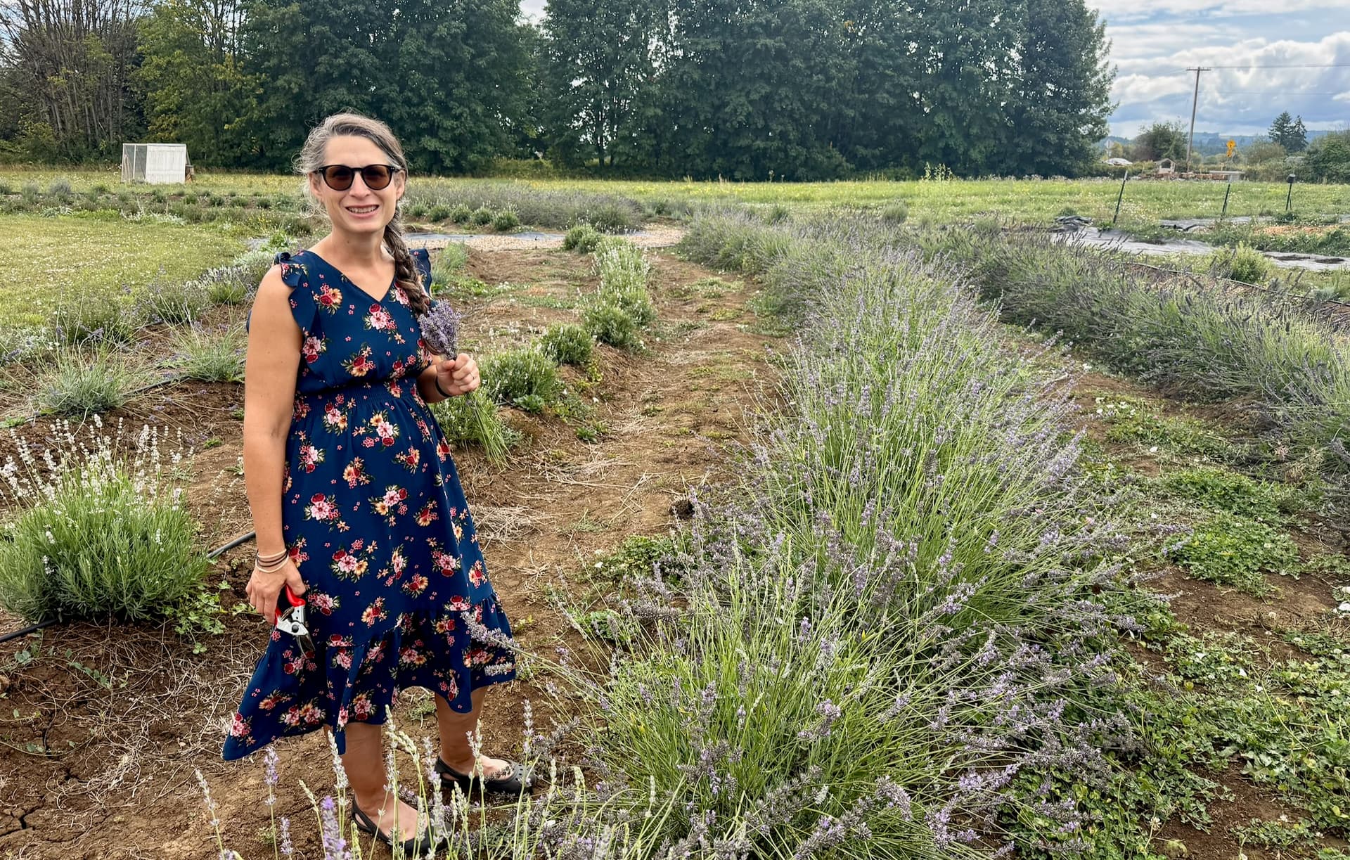 Carri walking the lavender rows at Chehalis River Farm